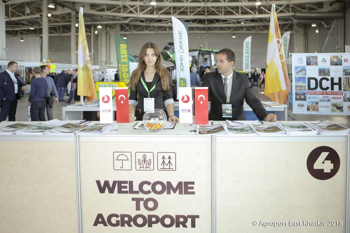 Выставка Выставка